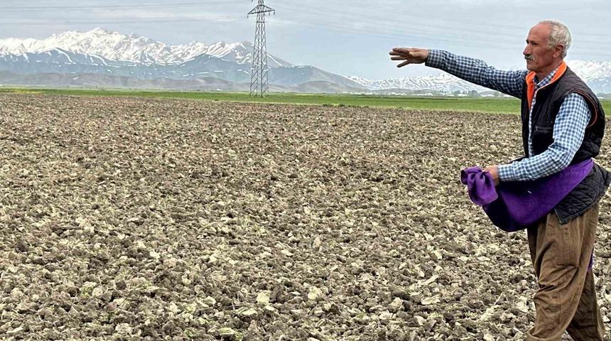 Yüksekova’da ekim mesaisi başladı