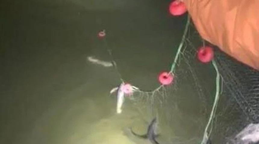 Erciş’te kaçak avlanan 200 kilo canlı balık yeniden suya bırakıldı