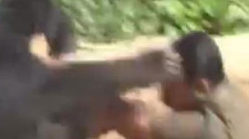 Ayıya yardım etikklerine pişman oldular