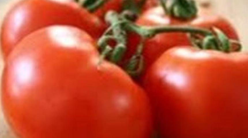 Domates yeniden d&uuml;ş&uuml;şe ge&ccedil;ti!