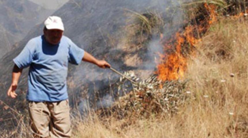 Aydın'da alevler evlere dayandı