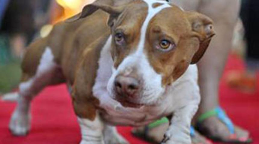 'Bana Arnold Schwarzenegger'ı hatırlatıyor'