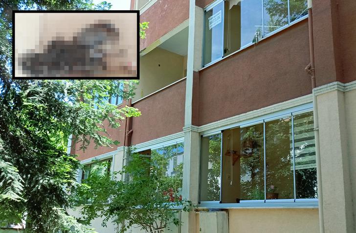 Aileye balkonlarını kullanmayı bıraktıran ilgin&ccedil; olay! Her şey 2 yıl &ouml;nce başladı...