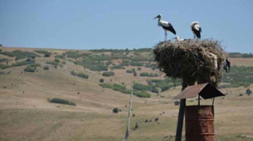 T&uuml;rkiye'de bunlar da oluyor