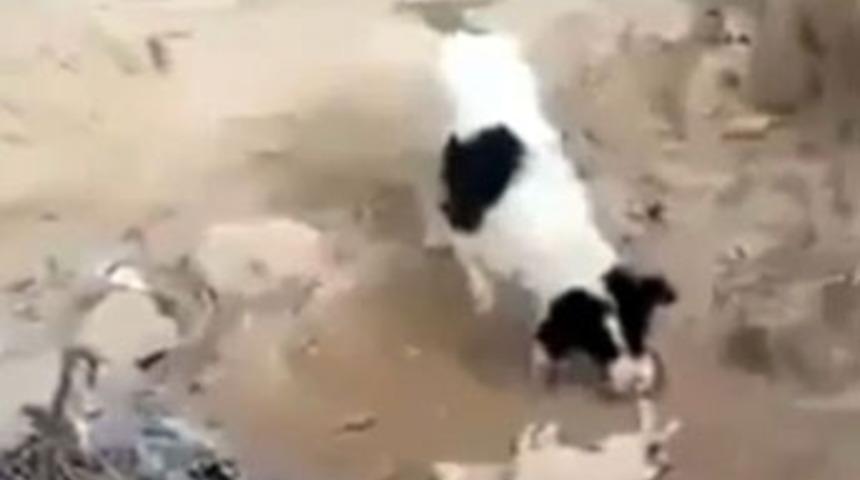 Bu da 'anne y&uuml;reği'