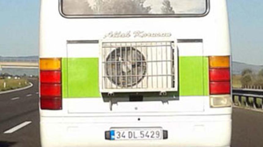 Bu fotoğraf T&uuml;rkiye'de &ccedil;ekildi!