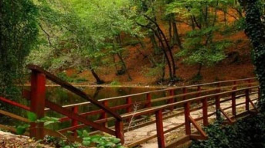 Belgrad Ormanları’na da rezidans...