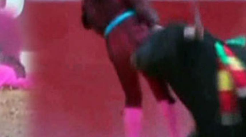 Matador &ouml;l&uuml;mden d&ouml;nd&uuml;