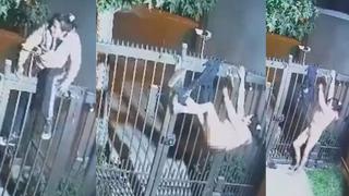 Araba hırsızının zor anları! Kaçmak isterken parmaklıklara yakalandı... Pantolonu takılınca öylece asılı kaldı