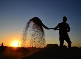 Türkiye geçen yıl 2 bin 200 çeşit tarım ürünü ihraç etti