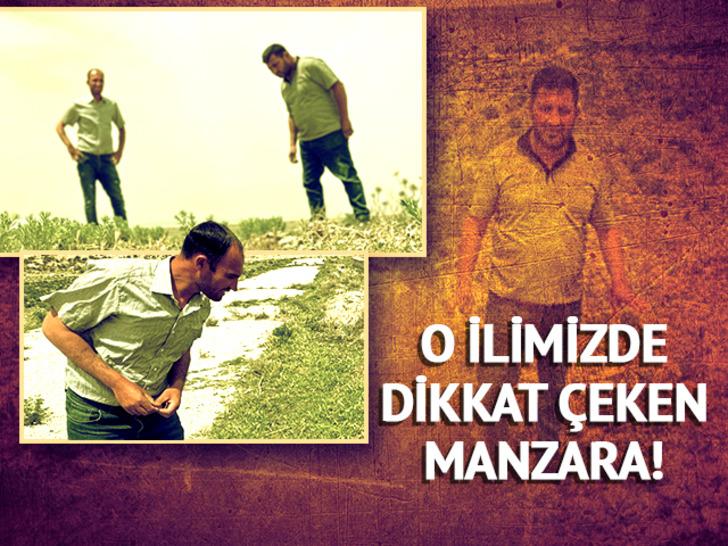 O ilimizde dikkat çeken manzara! Muhtar, "Tehlike arz ediyor" diyerek anlattı, mahalle sakini "Endişeliyiz" dedi: Uzmanı ise böyle açıkladı 18783557-728xauto