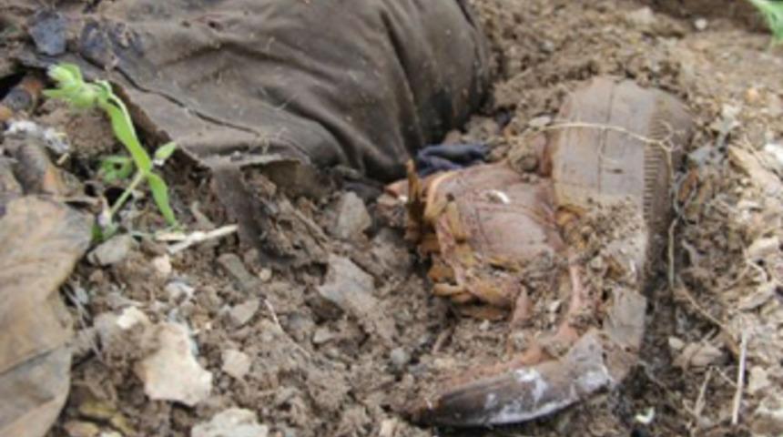 PKK'lılara ait toplu mezar iddiası