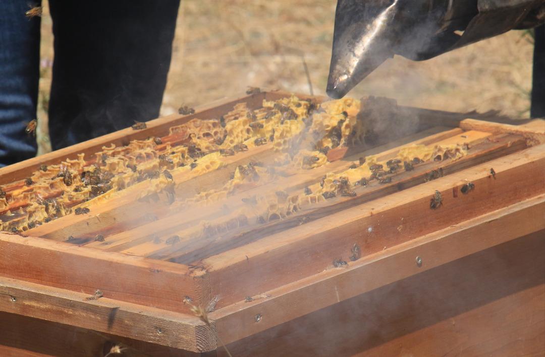  Sahte &uuml;r&uuml;n alarmı! Fiyatı 300 TL'nin altındaysa satın almadan bir kez daha d&uuml;ş&uuml;n&uuml;n! 