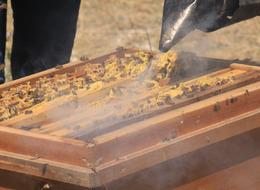  Sahte ürün alarmı! Fiyatı 300 TL'nin altındaysa satın almadan bir kez daha düşünün! 