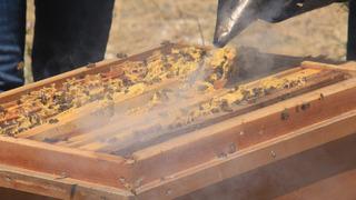  Sahte ürün alarmı! Fiyatı 300 TL'nin altındaysa satın almadan bir kez daha düşünün! 