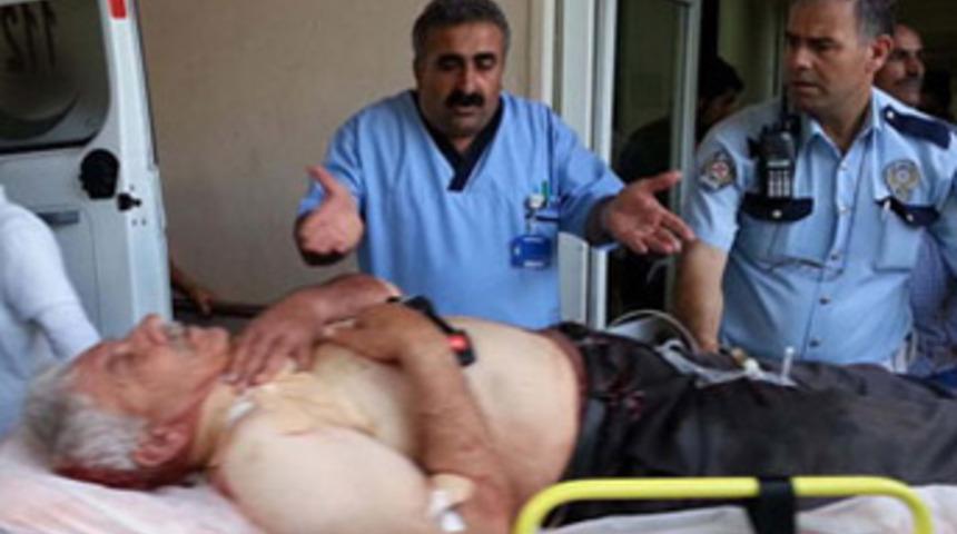 T&uuml;yler &uuml;rperten ifade