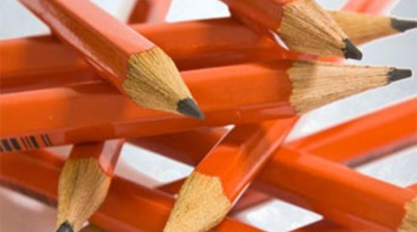 Danıştay'dan LYS kararı