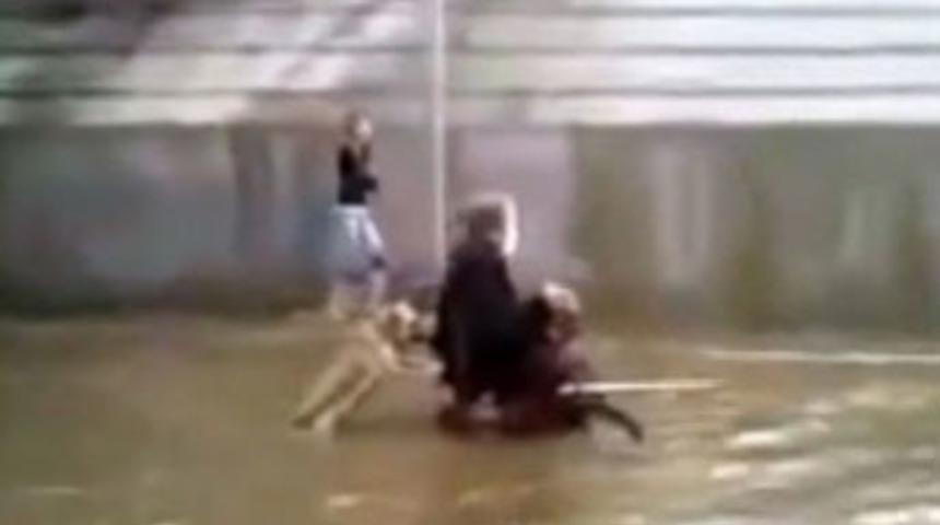 Kahraman k&ouml;pek sahibini kurtardı