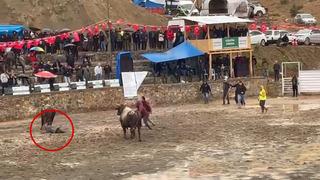 Arenada korku dolu anlar kamerada! Rakibinden kaçan boğa, hakeme çarpıp üzerinden geçti