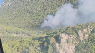 Antalya'da orman yangını! Ekipler sevk edildi