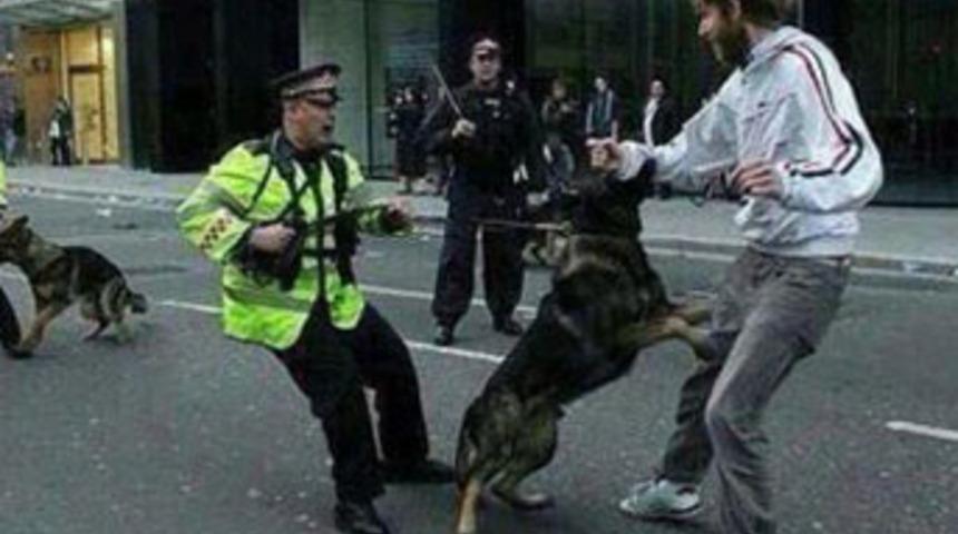 Eylemcilerin &uuml;zerine k&ouml;pekleri saldılar!