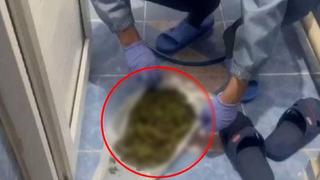 Polis baskınında uyuşturucuyu tuvalete dökerken yakalandı!