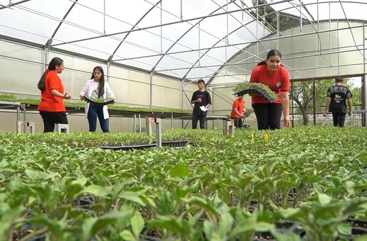 Yok yok! Piyasa fiyatına göre en az yüzde 20 daha ucuz! Talep yağıyor, uygun fiyata alıyorlar