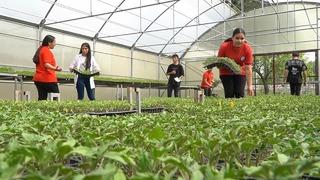 Yok yok! Piyasa fiyatına göre en az yüzde 20 daha ucuz! Talep yağıyor, uygun fiyata alıyorlar