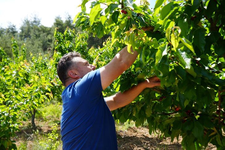 Tarlada 39, markette 199 lira! Üreticiler isyan etti! 'Niye aracılar bizden daha fazla kazanıyor!' G3