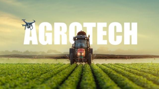 Agrotech, Holding yapılanmasına gidiyor