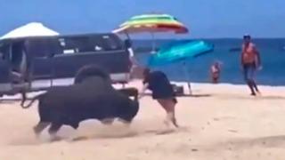 Öfkeli boğa sahili birbirine kattı! Kadın turist zor anlar yaşadı... Lütfen uzaklaş sesleri yükseldi  