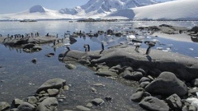 Antartika postanesinde çalışmak ister misiniz?