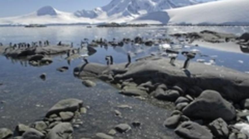 Antartika postanesinde &ccedil;alışmak ister misiniz?