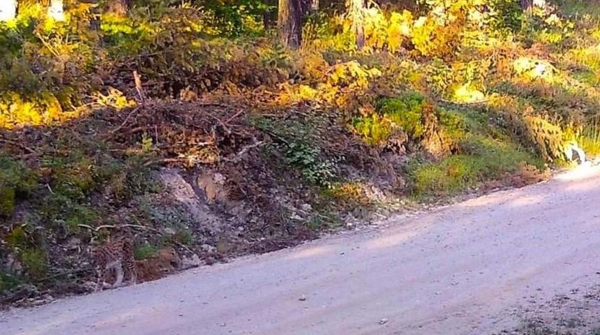 'Bir hayalet geziyor! Görebiliyor musunuz?' notuyla paylaştı! Çorum'da görüntülendi