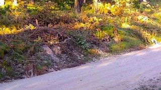 'Bir hayalet geziyor! Görebiliyor musunuz?' notuyla paylaştı! Çorum'da görüntülendi