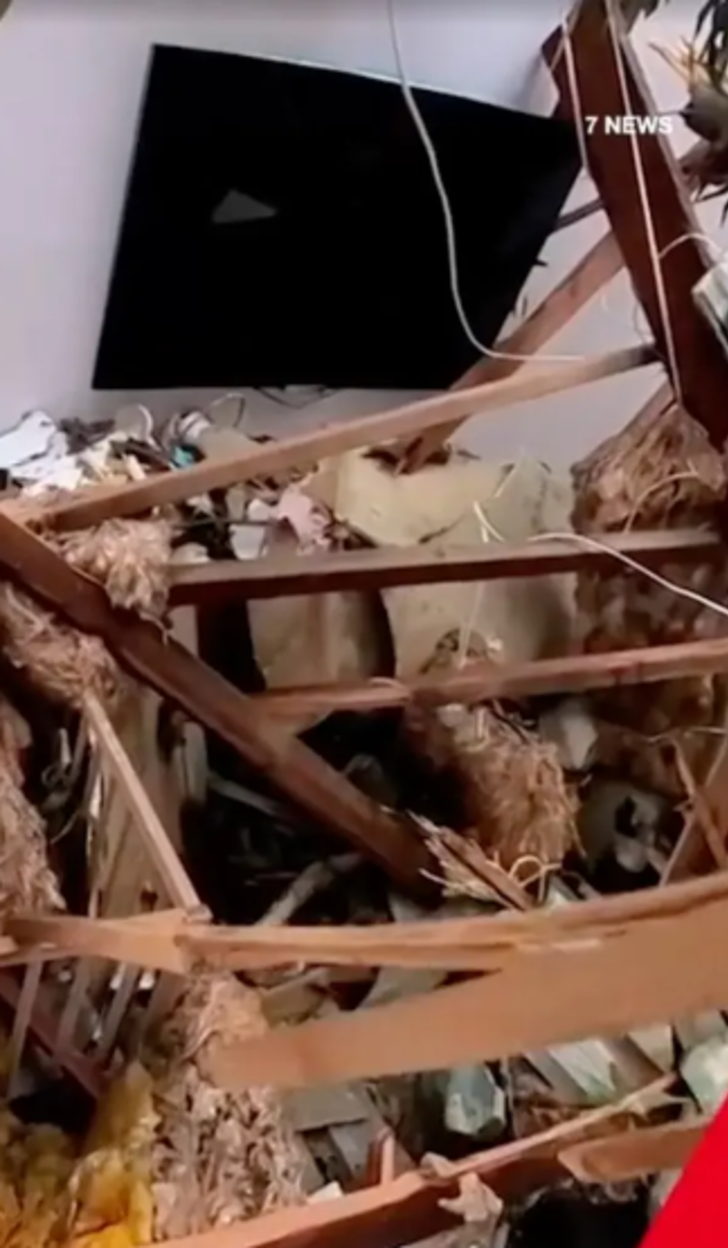 9 aylık bebeğin ölümle burun buruna geldiği korkunç anlar! Ağaç devrilerek karyolasının üzerine düştü.... Saniye saniye bebek monitörüne yansıdı G4