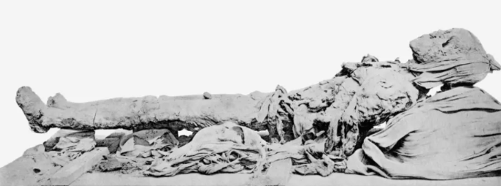 Tarihin en zengin insanı! Bilim insanları, Tutankhamun'un b&uuml;y&uuml;kbabası III. Amenhotep'in &ccedil;ehresini yeniden oluşturdu