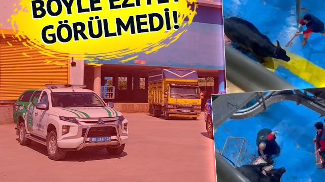 Yer: Amasya! Böyle eziyet mi olur? Biri baltayla başına vurdu, diğeri defalarca bıçakladı...