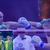 Oleksandr Usyk dünya ağır sıklet şampiyonu oldu! Tyson Fury'den gündem olacak sözler