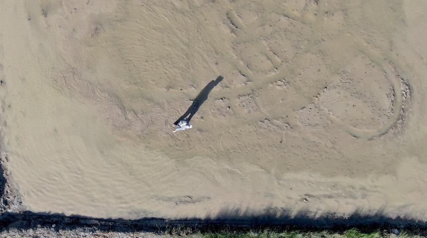 Ekimi başladı! Hasadının eylül ve ekimde yapılması planlanıyor: "Sadece dört köyde yetişir, başka yerde yetişmez" diyerek anlattı