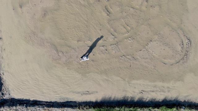 Ekimi başladı! Hasadının eylül ve ekimde yapılması planlanıyor: Sadece dört köyde yetişir, başka yerde yetişmez diyerek anlattı