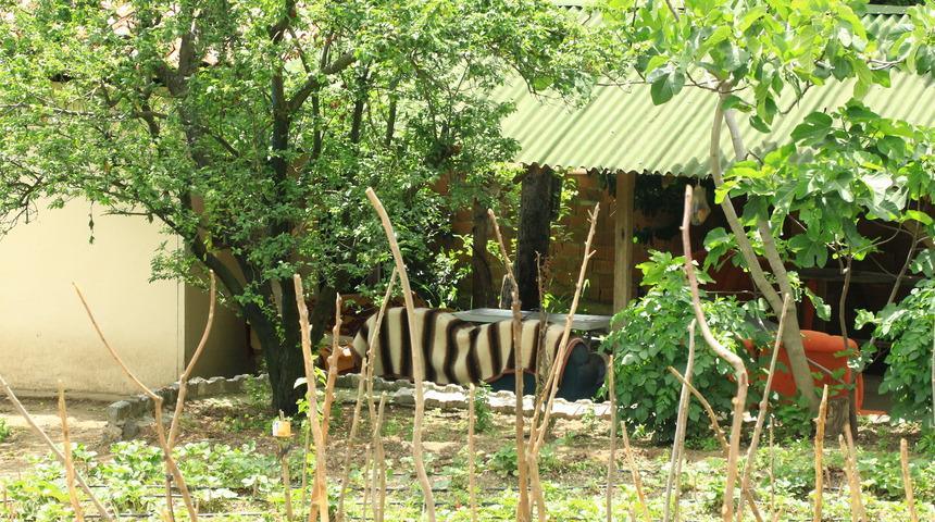 Tokat'ta bağ evindeki patlamada yeni detaylar! Yasak ilişki ihtimali üzerinde duruluyor