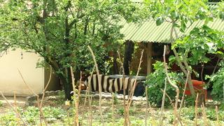 Tokat'ta bağ evindeki patlamada yeni detaylar! Yasak ilişki ihtimali üzerinde duruluyor