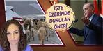İşte sokak köpekleri için üzerinde durulan öneri! Erdoğan'ın tepkisi...