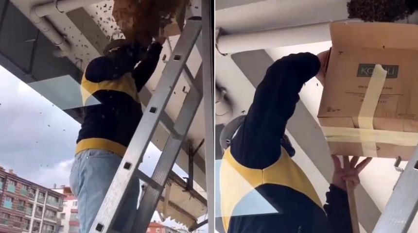 Mahallede tedirginliğe yol açtı! Yuva yapan arıları kutuyla almak isteyince olanlar oldu, o anlar kameraya yansıdı