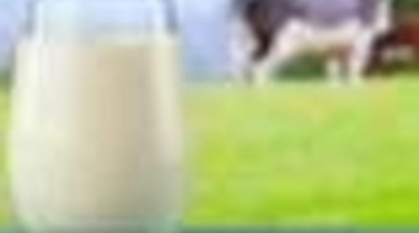 DERGİ  Kelime oyunları zihnin sırlarını açıklıyor