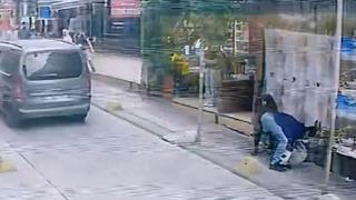 Kadıköy'de Pitbull dehşeti: Kediye saldırdığı anlar kamerada