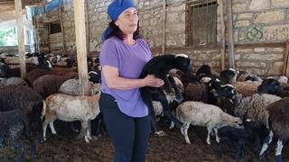 10 koyunla başladı, kendi işinin patronu oldu! Aile ekonomisine katkı sağlıyor