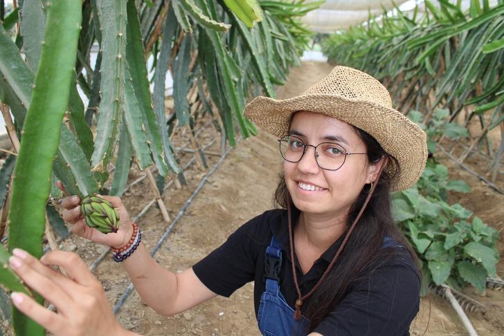 Plaza hayatını bıraktı huzuru tarımda buldu! “Üretmeyi kesinlikle bırakmayın”