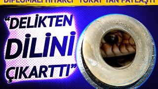 Sesin kaynağını öğrenince gözlerine inanamadı! Diplomalı hıyarcı Tokat'tan paylaştı: Delikten dilini falan çıkarttı